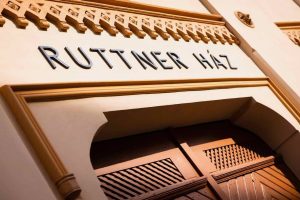 331509494_913662579819049_7649046850232287952_n